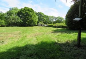 Photo 2- click for photo gallery